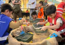 JMFF Sedot Ribuan Pengunjung, Kenalkan Dunia Tambang Lewat Edukasi Interaktif