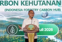 Menko Pangan: Regulasi Menhut Raja Juli Percepat Perdagangan Karbon Kehutanan