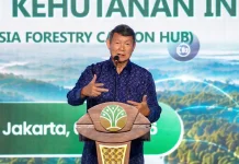 Hashim: Perdagangan Karbon Kehutanan Program Pemerintah Paling Cepat Realisasi