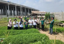 Ubah Wajah Kampung, Pemuda Rawa Malang Optimis Bangun Greenhouse di Area Waduk