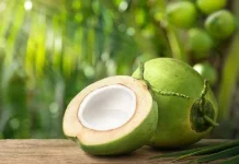Manfaat Air Kelapa bagi Kesehatan