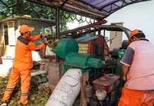Kelurahan Cempaka Putih Timur Sulap Sampah Daun jadi Kompos