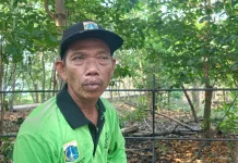 Meniti Harapan di Hutan Kota Rorotan: Kisah Sang Penjaga Paru-Paru Ibu Kota