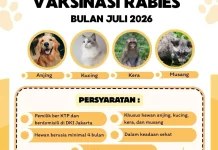 Hewan Sehat, Keluarga Bahagia: Jakut Gulirkan Layanan Kesehatan Hewan Keliling