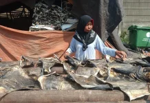 Dari Ombak Menjadi Harapan, Pelaku Usaha Pesisir Bangkit Bersama Bank Jakarta