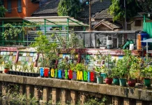 Penataan Kawasan Gambir Dorong Pengurangan Sampah lewat Penghijauan
