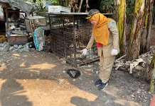 KPKP Jakbar Temukan Dugaan Jagal HPR di Lapo Cengkareng Jakbar