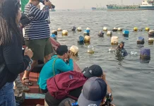 Di Balik Lensa Analog, Potret Keteguhan Nelayan Kerang Hijau di Pesisir Cilincing