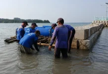 Hadapi Cuaca Ekstrem, Sudin SDA Bangun dan Perbaiki Tanggul di Pulau Lancang