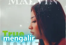 Malvin Angkat Realita Cinta dalam Mengalir