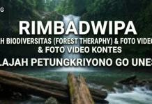 Sensasi Forest Therapy dan Eksplorasi Keasrian Hutan Petungkriyono