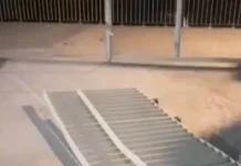 Tak Jera Beraksi, Komplotan Pencuri Pagar Besi Kembali Sasar Waduk Rawa Malang