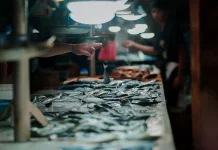 Muara Angke Kini Jadi Pusat Belanja Ikan Internasional