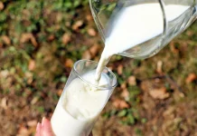 Waktu yang Baik untuk Minum Susu? Ini Penjelasannya