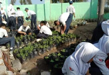 Anak Diajak Berkebun, Belajar Cinta Lingkungan sejak Dini