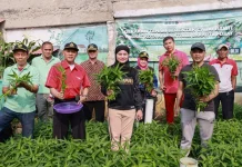 Poktan Anggrek Ceria Cempaka Putih Barat Panen 20 Kilogram Kangkung