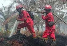 Tim Manggala Agni Kemenhut Padamkan Kebakaran Hutan dan Lahan di Aceh
