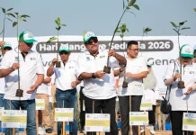 Pemprov DKI Tanam 24.310 Mangrove di Lima Lokasi