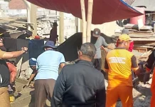 Sambut HUT RI, Pulau Untung Jawa Tingkatkan Kebersihan Lingkungan