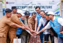 PLN EPI Resmikan Rumah Pembibitan Mangrove Berbasis Electrifying Agriculture