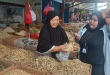 Saat Ikan Asin Menembus Harga Daging: Cerita Menjaga Asa di Lapak Pasar