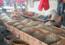 Menyambung Hidup di Lapak Warisan: Suara Hati Pedagang di tengah Sepinya Pembeli