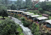 Wisata Alam Gunung Mas Puncak, Hadirkan Sensasi 'Riverside Gunung Mas'