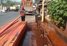 Tiga Dekade Memanggul Nasib: Otot dan Keringat Buruh di Lapak Kayu Kalibaru