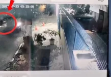 DPRD Kevin Minta Transjakarta Tindak Sopir JakLingko yang Tabrak Lansia di Tomang