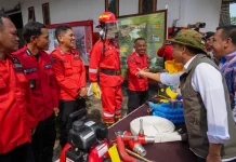 RI-Korea Bangun Pusat Pengendalian Karhutla