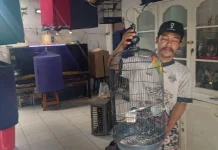 Kicau Mania Viral, Kenapa Pasar Burung Tetap Sepi?