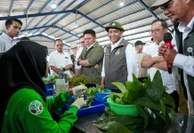 Dukung Program ASRI Prabowo, Kemenhut Perkuat Persemaian Bibit Nasional