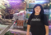 Resep Sukses Pedagang Ikan Hias: Omset Puluhan Juta di Pelepah Raya