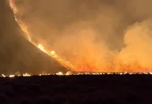 Kebakaran Landa Bromo, Pengelola Sediakan Skema Refund untuk Pengunjung