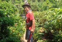 Menyemai Harapan dan Keindahan di Jalur Bisnis Tanaman Hias