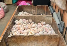 BPS Ungkap Harga Bawang Putih Mulai Kembali Turun