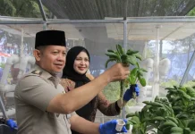 Panen Melon dan Sayuran Pulau Pramuka, Dorong Urban Farming untuk Ketahanan Pangan