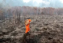 Pemerintah Optimalkan Operasi Modifikasi Cuaca Tekan Kebakaran Hutan dan Lahan
