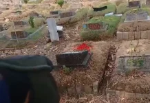 Kemarau, Rumput TPU Kusir Rawamangun Kering