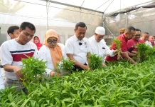 Pemkot Jakarta Timur Gelar Panen di 223 Lokasi Pendidikan, Dukung Ketahanan Pangan