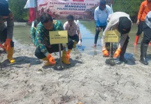Aksi Penanaman 2.000 Mangrove dan Bakti Sosial di Pulau Kelapa