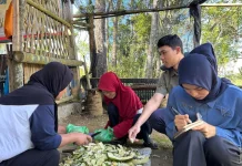 Program Maggot BSF PLN EPI Kelola 561 Kg Sampah Organik Per Bulan