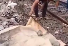 Seorang Warga Tertemper KRL di Jalur Cawang-Tebet, Sebabkan Pengereman Rusak