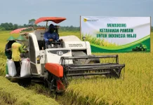 Modernisasi Pertanian dan Pangan Lokal Perkuat Ketahanan Pangan