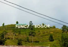 Udara di Puncak Bogor Terasa Makin Dingin Saat Kemarau? Ini Penjelasan Pakar IPB