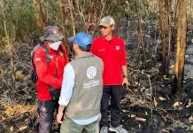 Menhut Raja Antoni Tinjau Kebakaran Hutan dan Lahan Kalsel