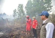 Tinjau Guntung Damar, Menhut: Pelaku Karhutla Ditindak tanpa Pandang Bulu