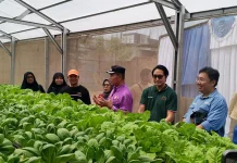Rumah Hidroponik Dorong Kemandirian Warga Bekasi
