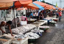Ratusan Pedagang Ikan di Kramat Jati Akan Segera Dialihkan ke Lokbin