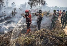 Kemenkes Siapkan Rekomendasi PJJ saat Kualitas Udara Memburuk akibat Karhutla